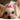 Pet Bows, Bandanas, Hats, Ties  and Accessories