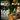 Chain Saw , Pole Saw , Portable Saw Mill
