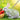Bunny Housing, Indoor/Outdoor Cages, Toys and Supplies.