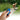 Pet Multifunction 2 in 1 Clicker & Whistle Dog Trainer Clicker With Keyring Pet Puppy Trainer Dog Flute & Clicker