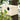 Wood Bird House Nest Birds Breeding Box With Perch Stand Spring Bird Parrot Breeding Decorative Cages