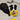 Dog Ring Frisbeed Toys Pet Flying Disk Training Ring Puller Anti-Bite Floating Interactive device