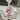 Pet Spring and Summer Flow Yarn Skirt Cats Dogs Pets  Breathable Out Traction Thin Section of The Sun Dress Dog White Dress