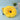 Sunflower Pet Elizabethan Collar Adjustable Anti-Bite Surgery Anti-Lick Wound Healing Cat Protection Collars Soft Plush Collar