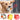 Pet dog fun vocal toy