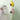 Cat Mint Ball Rotating Ball Wall Cat Toy Accessories for Cats Games Catnip Licking Snacks Mint Freshen Breath Pet Supplies