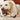 USA SHIPPING! Beef Bone For Dogs Tough Beef Shank Dog Chew Bone Natural Dog Marrow Bone Healthy Large Breed Dog Treats For Small To Large