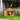 50" Wooden Dog House Outdoor for 2 Medium or Small Dogs, Cabin Style Double Dog House with Porch, 2Doors, Elevated Floor